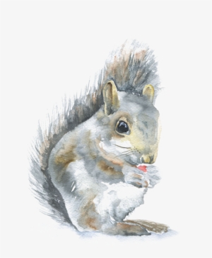 Squirrel Watercolor - Paintings Of Woodland Animals