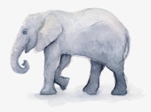 Click And Drag To Re-position The Image, If Desired - Elephant Watercolor