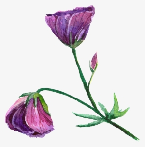 Purple Fashion Transparent Watercolor Flowers - Watercolor Flowerstransparent