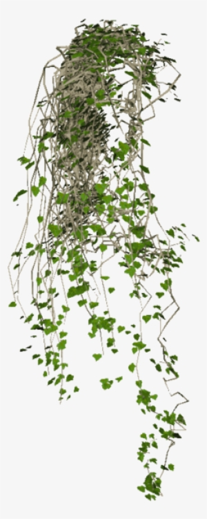 Share This Image - Hanging Plants Png