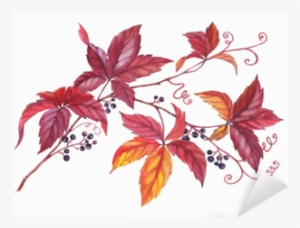 Hand Drawn Watercolor Colorful And Vibrant Branch Of - Leaf