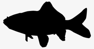 Common Goldfish Silhouette - Goldfish Silhouette Png