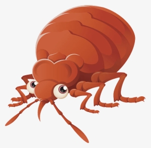 Bed Bug Png - Bedbug Cartoon Png