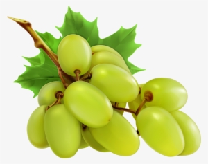 White Grapes Png Clipart - Grapes Png