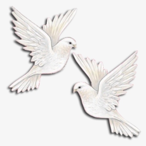 Dove Flying Away Png - Two Doves And A Heart