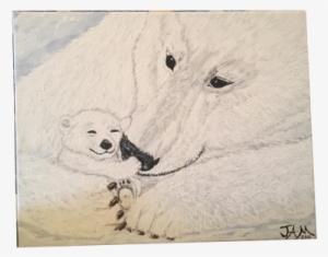Polar Bear 11 X 14 Stretched Canvas $18 - Polar Bear