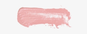 Pink Concealer - Lip Gloss
