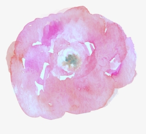 Watercolor Flowers Png - Watercolor Painting