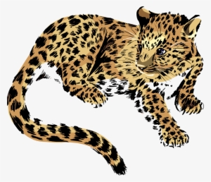 Jaguar - Jaguar Clipart Png