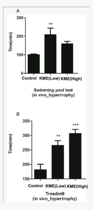 The Increased Endurance In The Kme-fed Mice The Endurance - Diagram