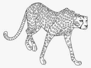 Download Png Image Report - Black And White Clipart Jaguar