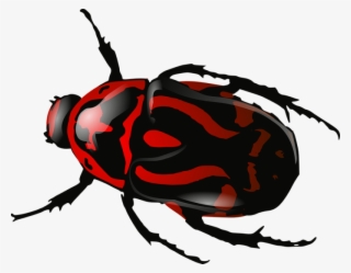 Red Insect Bug Png Image - Beetle Clip Art