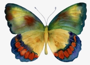 Picmonkey's Photo Editor