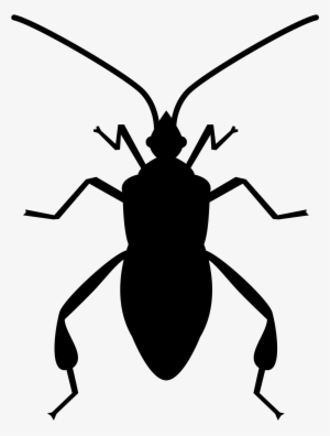 Bug Svg Vector - Bug Png