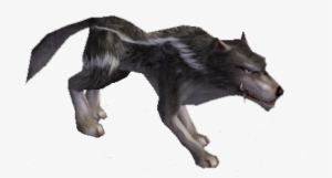 Lobo - Wolf