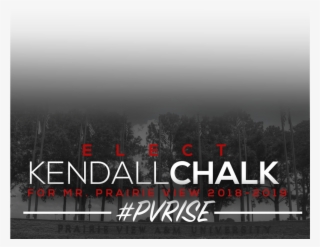 Kendall Chalk Snap Chat Filter