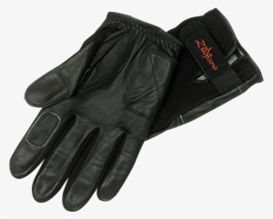 Search Form - Zildjian Gloves