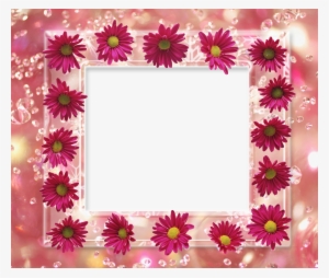 Abstract Floral Frame Png - Birthday Photo Frame Flower