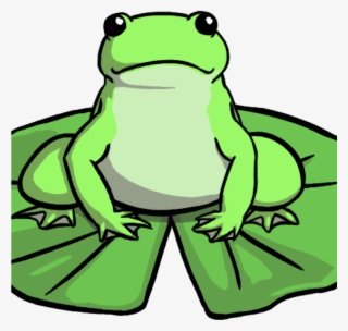 Lily Pad Clipart Image Of Frog On Lily Pad Clipart - Frog On Lily Pad Drawing