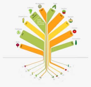 Food Variety Tree 754 - Crop Diversity In Organic Farming