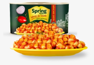 Spring Foods Mgc International