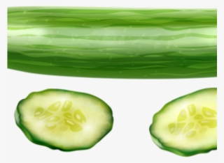 Cucumber High Resolution