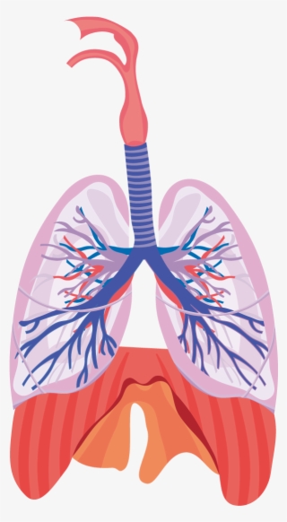 Svg Black And White Library Respiratory System Respiration - Chronic Obstructive Pulmonary Disease Condition