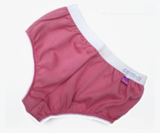 Emf Protective Women's Briefs - Underpants