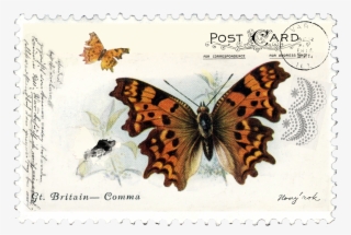 Digital Art And Scrapbooking - Papilio Machaon
