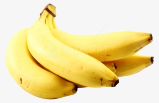 Free Png Download Banana Bunch Png Images Background - Yellow Fruit Transparent
