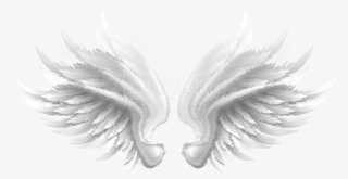 Free Png Download White Wings Transparent Clipart Png - White Wings