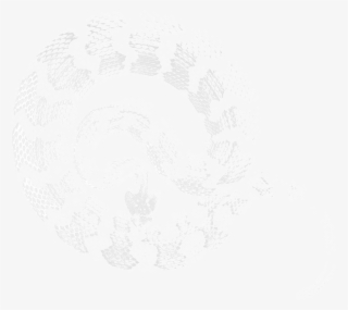 Hgf Transparent Snake Cropped - Circle