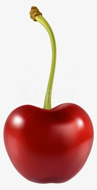 Download Cherry Clipart Png Photo - Cherry Png