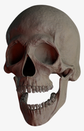 Skull, Skull And Crossbones, Bone, Creepy, Weird, Death - Skull