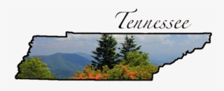 Ten No Map - Shortleaf Black Spruce