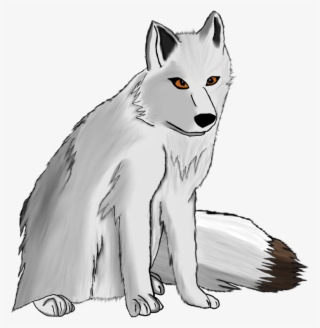 Image - Arctic Gray Wolf Drawing