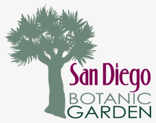 Stacked Logo In Black - San Diego Botanic Garden Logo