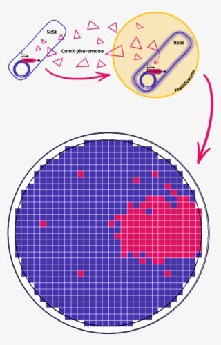 At A Glance - Circle