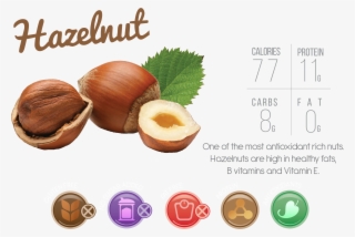 Body Needs And Everything Your Tastebuds Want - Hazelnut
