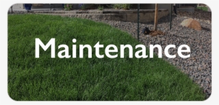 Schedule A Free Estimate - Cignal