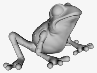 Frog Looking At You Png - Eastern Spadefoot