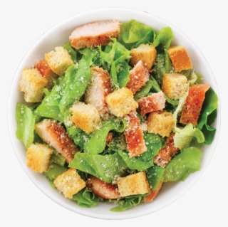 Caesar Salad Sq - Caesar Salad