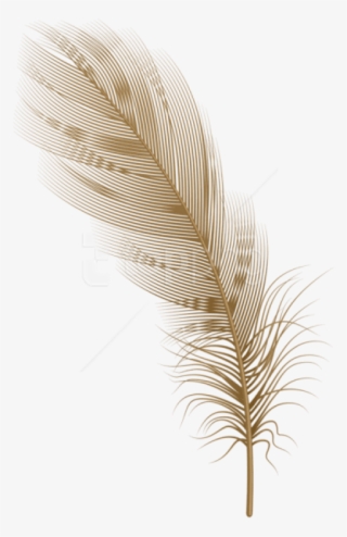 Download Feather Brown Png Clipart Png Photo - Illustration