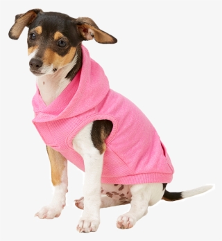 Dog Winter Clothes - Companion Dog