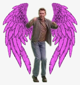Luci And His Pink Wings - Guardian Angel Wings