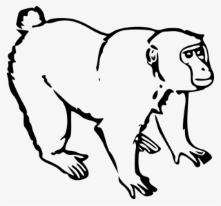 Download This Image As Source - Monkey Clipart Black And White
