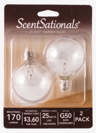 25 Watt Light Bulb - Incandescent Light Bulb