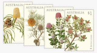 Set Of Banksias Stamps - Australian Postage Stamps 2018