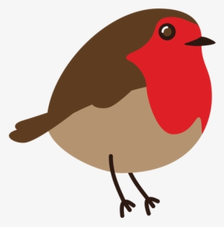 Red Robin - European Robin