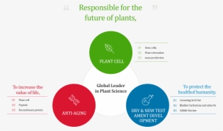 Is Responsible For The Future Of Plants From Plant - Diagram